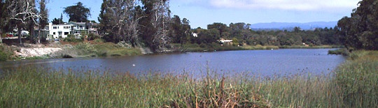 Schwan Lagoon (or sometimes known as a `lake`)
